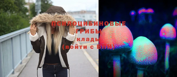 гидропоника Аркадак