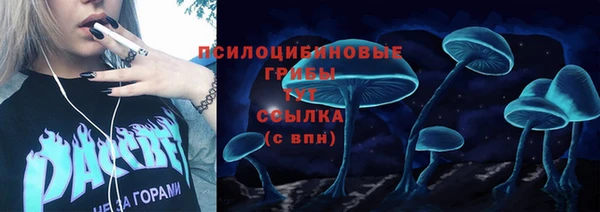 ешки Армянск