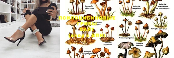 альфа пвп Арсеньев