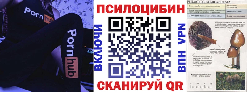 закладки  Ялта  Псилоцибиновые грибы Psilocybe 